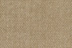 20 Hazelnut