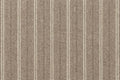 7 Sandy Beige