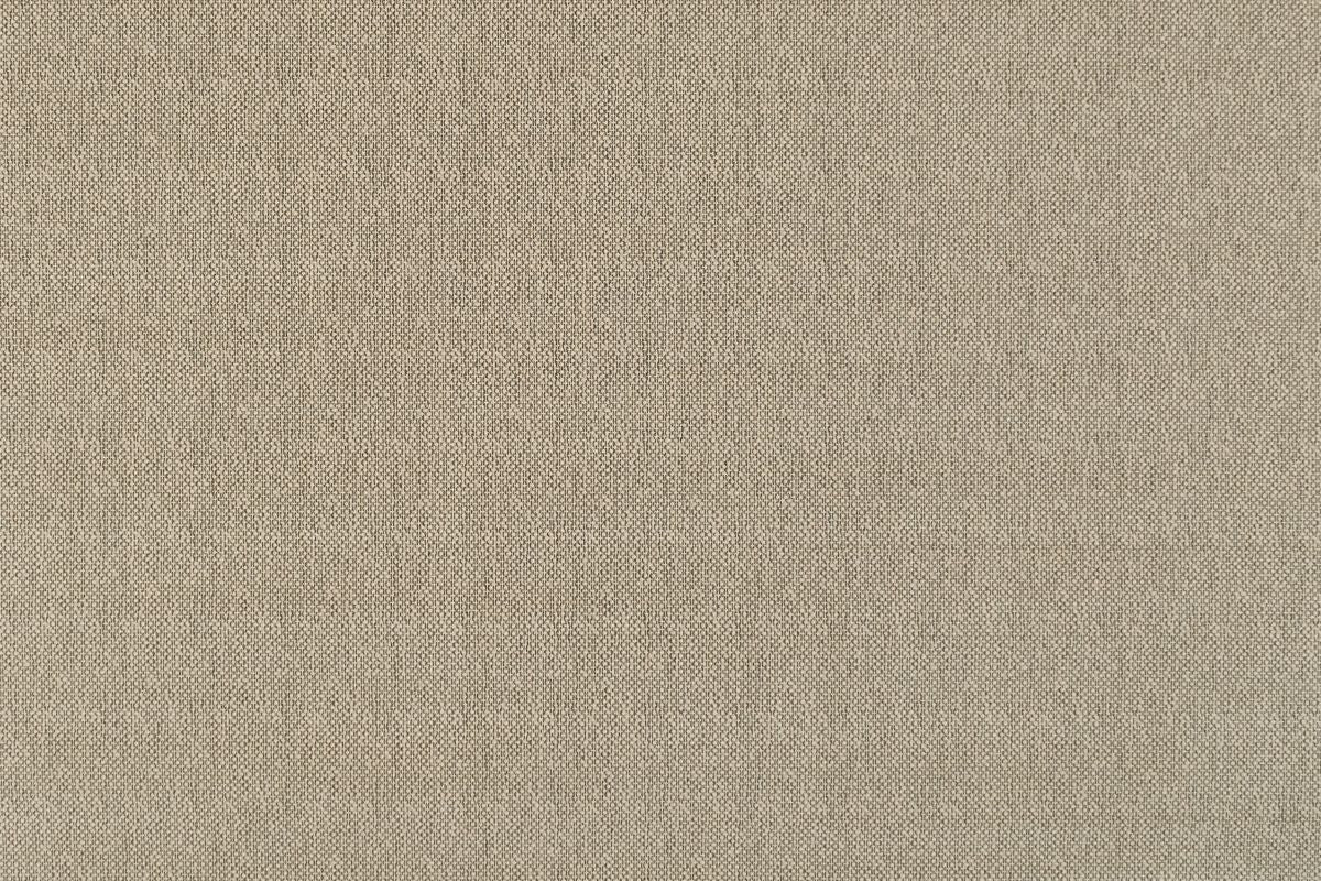 T01001319_ALT2