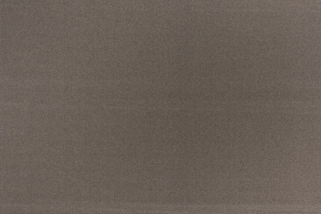 T01006001_ALT2