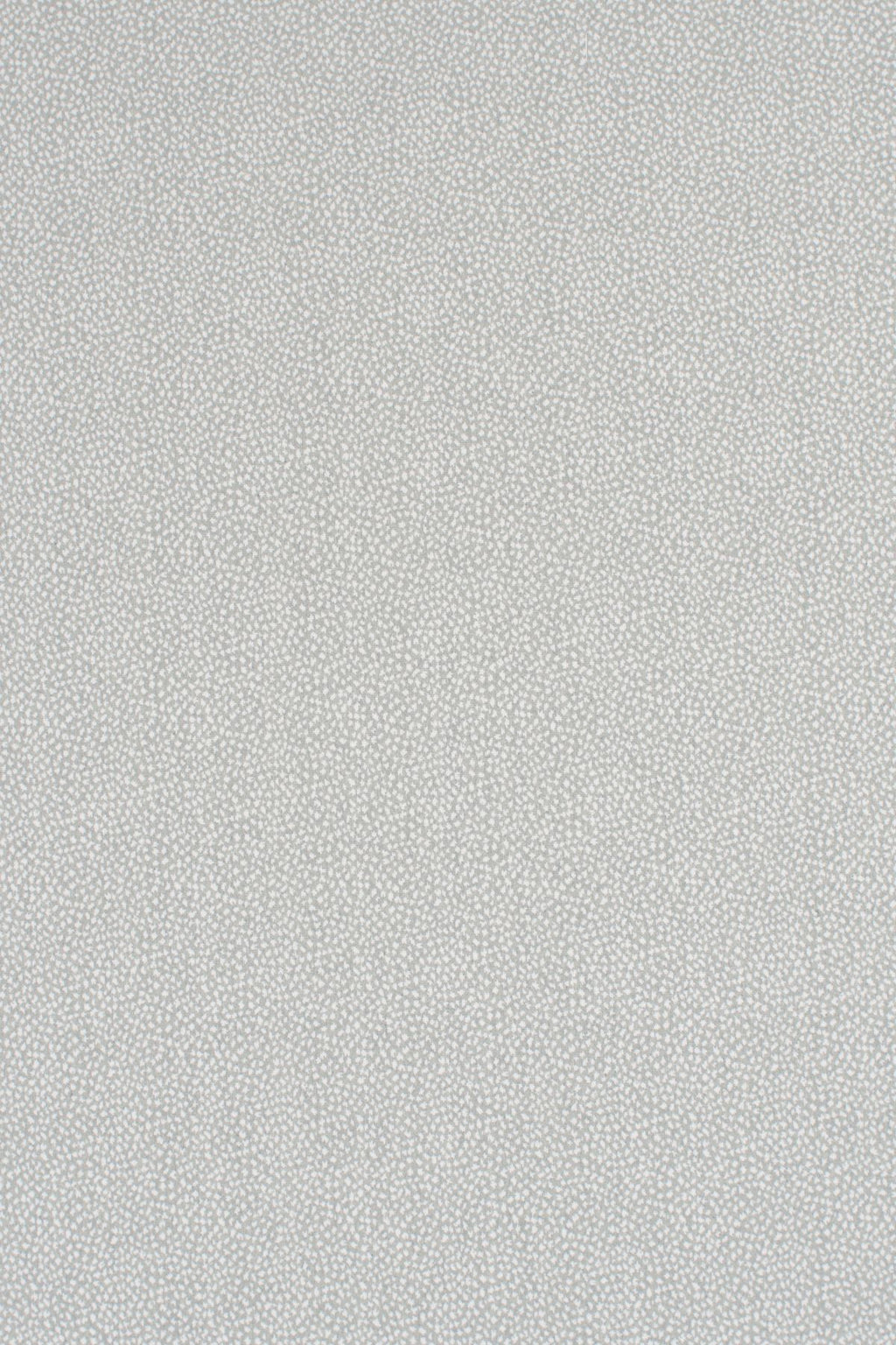 T01006982_ALT2