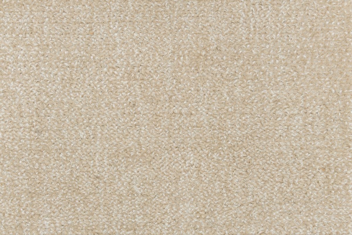 T01009496_CL