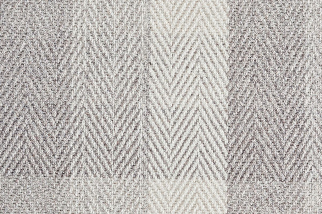 T01009894_CL