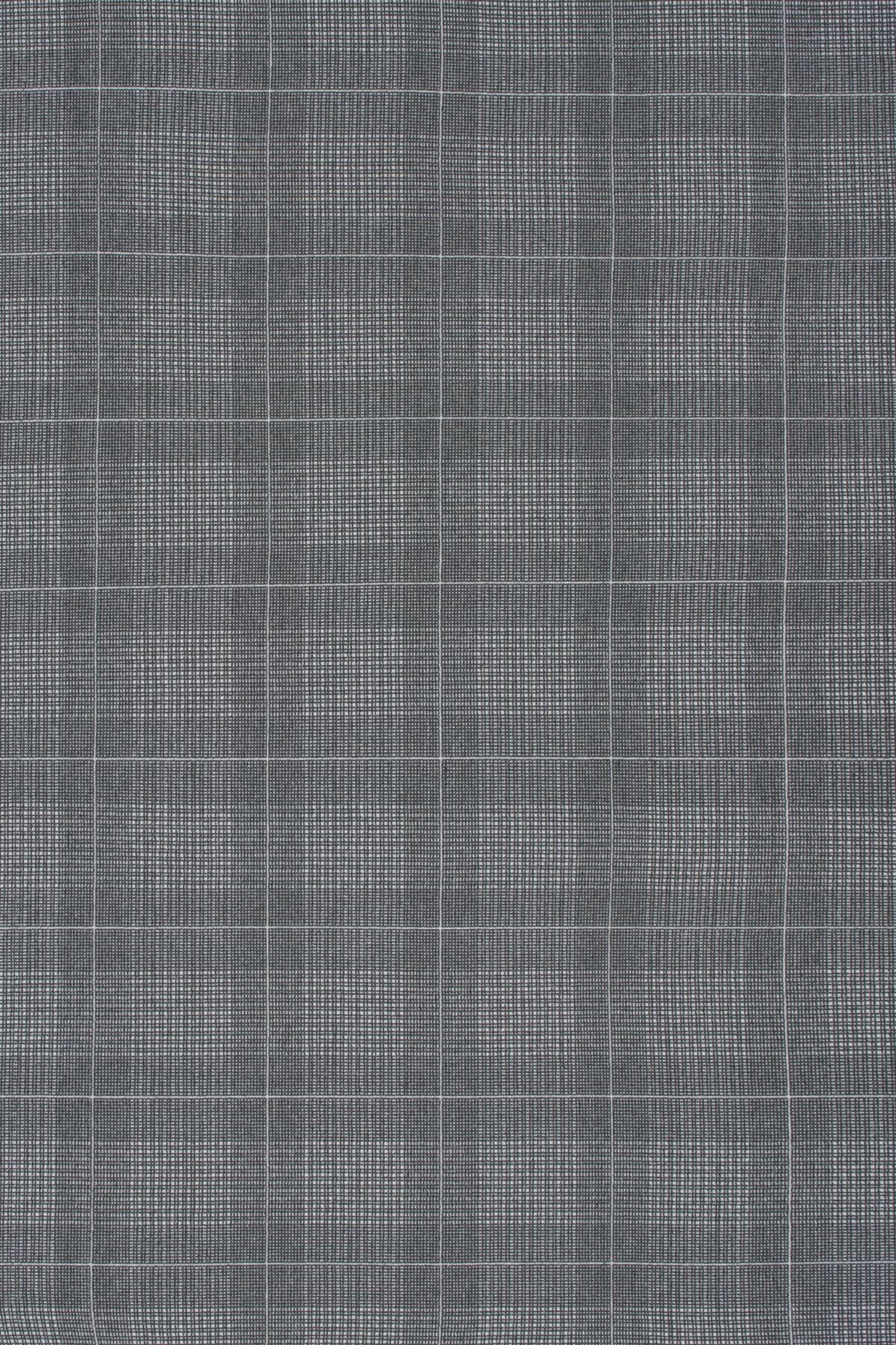 T01012077_ALT2