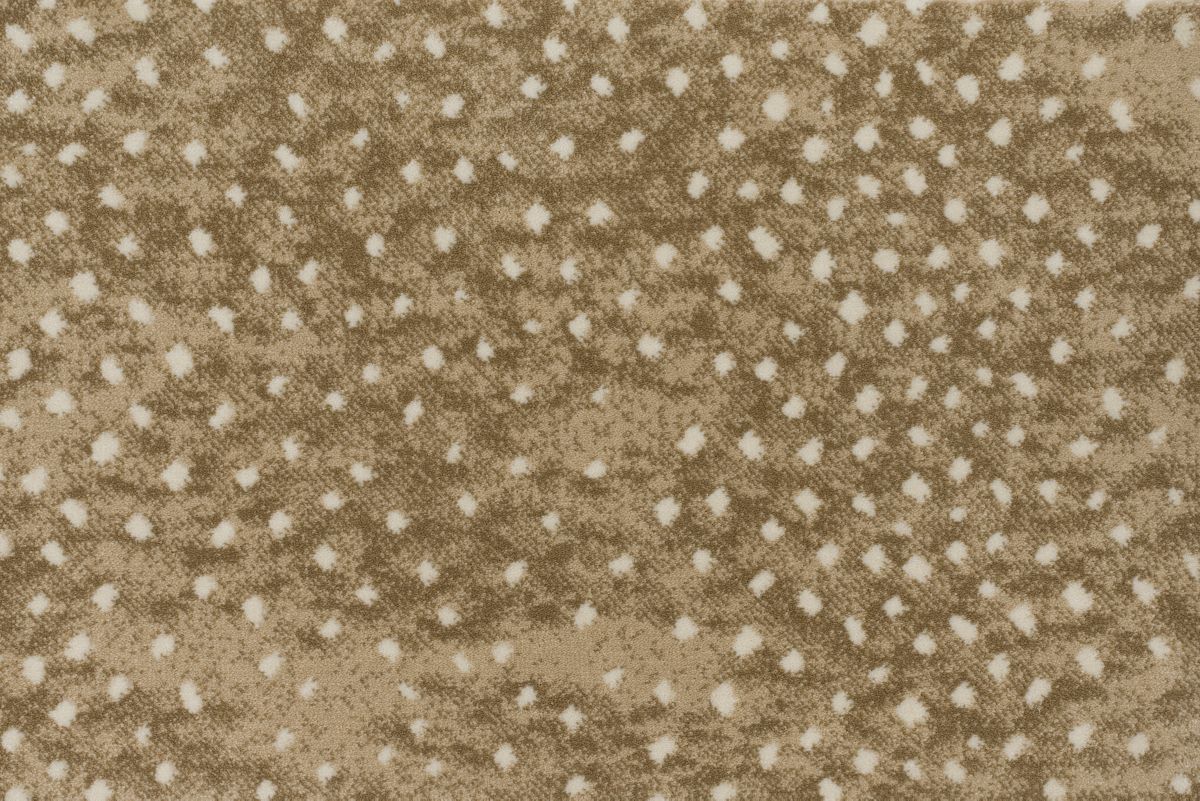 T01016432_CL